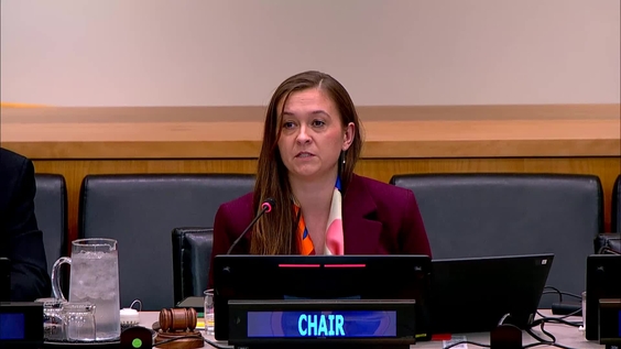 Second Committee, 21st plenary meeting - General Assembly, 80th session