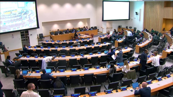 (4th meeting) - Fifth Session of the Intergovernmental Negotiating Committee on the UN Framework Convention on International Tax Cooperation (INC Tax) - 3 to 13 August 2026