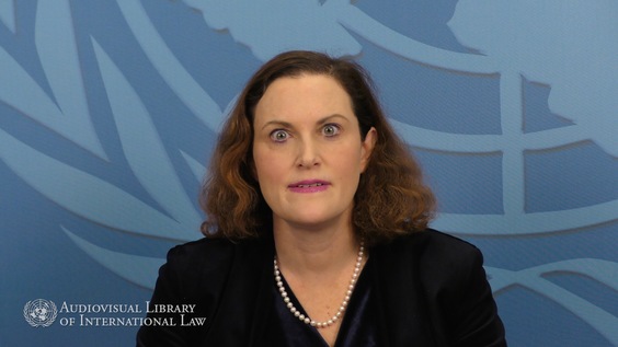 Cecilia M. Bailliet - Women Refugees and Gender Persecution