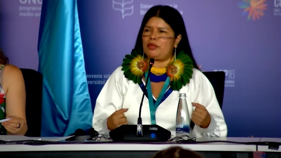 Press Conference – Rights of Nature: A Systemic Solution to Protect Biodiversity – United Nations Biodiversity Conference 2024