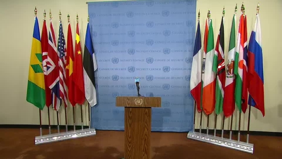 Ireland and Norway on the situation in Syria - Security Council Media Stakeout