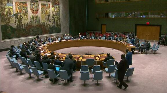 8067th Security Council Meeting: Situation in Democratic Republic of the Congo