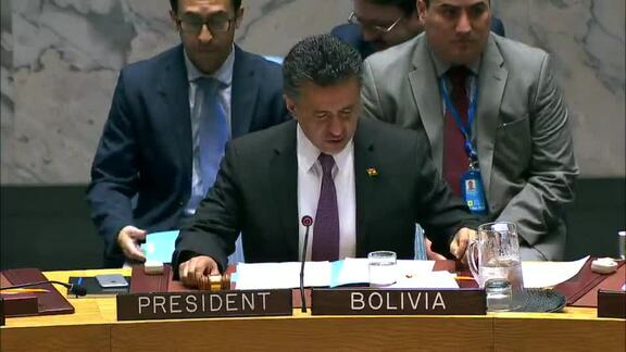 8384th Security Council Meeting: Situation in Middle East
