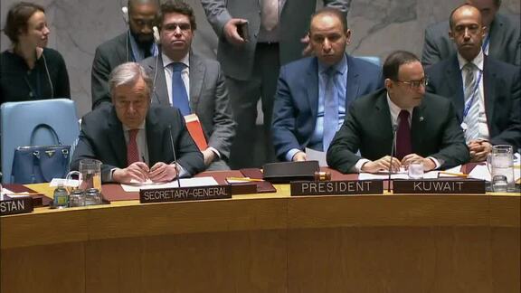 8183rd Security Council Meeting: Situation in Middle East, Including Palestinian Question