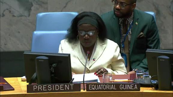8467th Security Council Meeting: Situation in the Central African Republic
