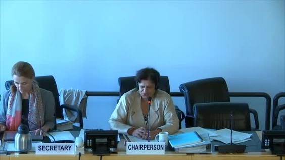 Informal Meeting with State Parties - 43rd Meeting 61st Session Committee on Economic, Social and Cultural Rights