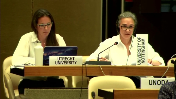 3rd Meeting - 2nd Session Group of Governmental Experts on Lethal Autonomous Weapons Systems 2025