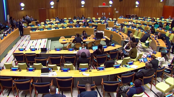 (Part 4) Fourth Preparatory Committee for the FFD4 Conference (4th PrepCom)