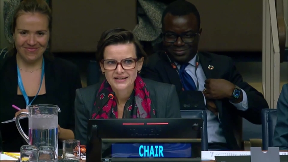 (2nd meeting) 58th session of the Commission on Population and Development, CPD58