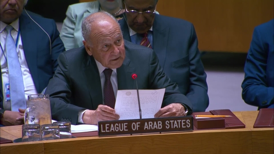 Cooperation between the UN and the League of Arab States in maintaining international peace and security - Security Council, 10129th meeting