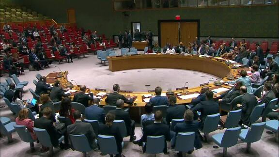 8609th Security Council Meeting: Situation in Middle East