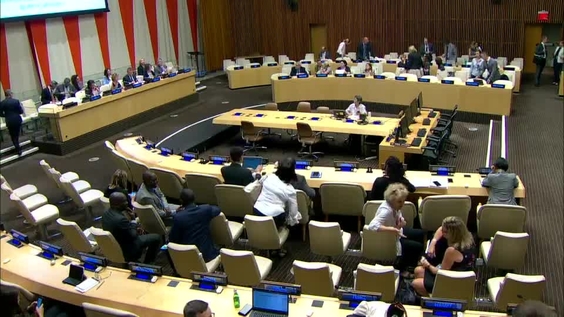 Executive Board of UNDP, UNFPA and UNOPS - Second Regular Session (3-6 September 2019) (2nd meeting)