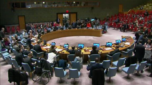 8176th Security Council Meeting: Briefing on Kosovo