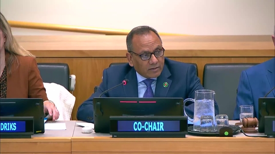 Joint meeting of the Second Committee & the Economic and Social Council - General Assembly, 79th session