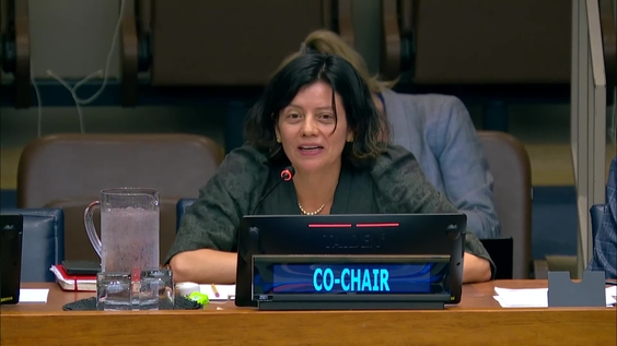 Preparatory Commission: Agreement on Marine Biological Diversity of Areas beyond National Jurisdiction (Second Session, Informal Working Group)