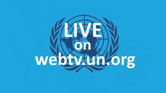 Disarmament and International Security Committee (First Committee) - Promo video
