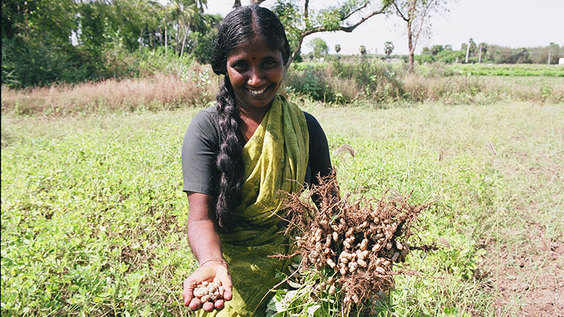 Knowledge Hub: A Just Transition in India – Experiences and lessons for social justice