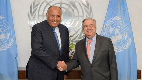 Joint media stakeout: UN Secretary-General António Guterres and Sameh Shoukry, Minister of Foreign Affairs of Egypt