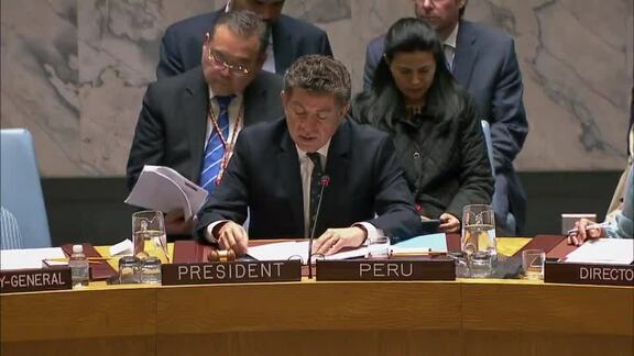 8232nd Security Council Meeting: Reports of Secretary-General on Sudan and South Sudan