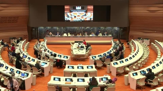 Consideration of Lithuania - 1734th Meeting, 74th Session Committee on the Elimination of Discrimination Against Women 