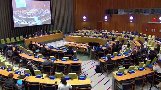 General Assembly: Reform of the Security Council - Informal meeting of the plenary, 78th session