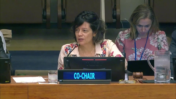 Preparatory Commission: Agreement on Marine Biological Diversity of Areas beyond National Jurisdiction (Second Session, Informal Working Group)