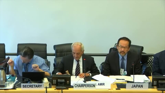 Consideration of Japan (Cont'd) - 2663rd Meeting 96th Session Committee on Elimination of Racial Discrimination