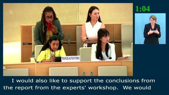 4th Meeting, First Intersessional Meeting on the Participation of Indigenous Peoples - Human Rights Council