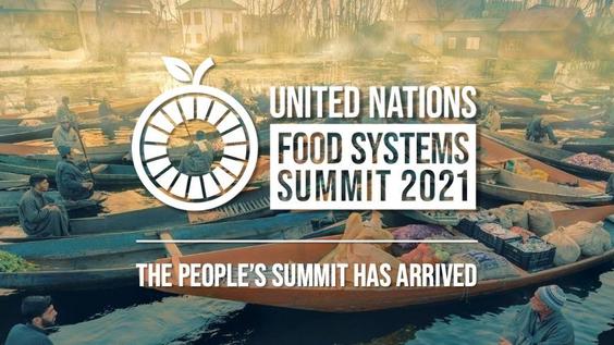 Secretary-General's Food Systems Summit