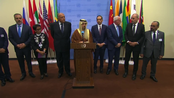 Joint Stakeout on Gaza by the Ministerial Committee assigned by the Joint Arab-Islamic Extraordinary Summit