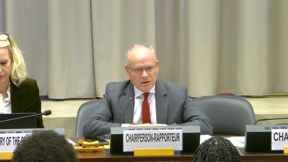 4th Meeting, 11th Session of Open-ended Intergovernmental Working Group on Transnational Corporations