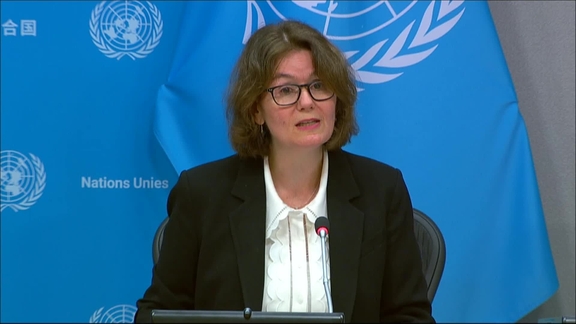 Gaza, Ukraine, Mozambique and other topics - Daily Press Briefing