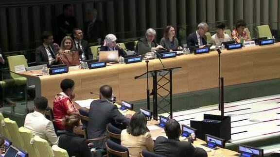 High-level Event on Climate Change - Panel 2