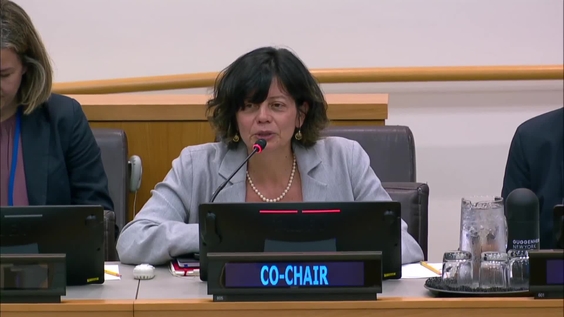 Preparatory Commission: Agreement on Marine Biodiversity of Areas Beyond National Jurisdiction (First Session, Informal Working Group)