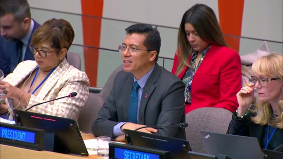 2025 High-level Meeting of the Development Cooperation Forum - Economic and Social Council, 11th plenary meeting, 2025 session