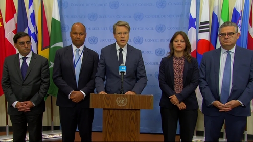 Samuel Žbogar (Slovenia) on behalf of the E5 on the situation in Gaza - Joint Security Council Media Stakeout