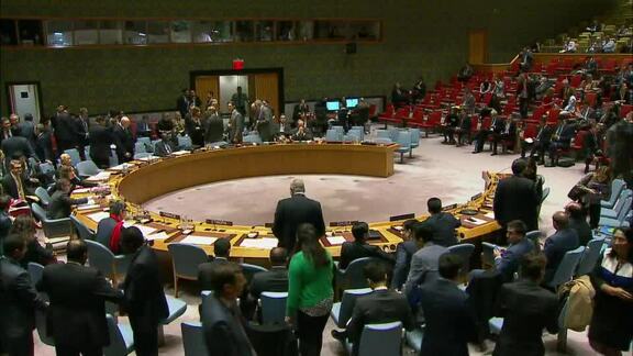 8105th Security Council Meeting: The situation in the Middle East