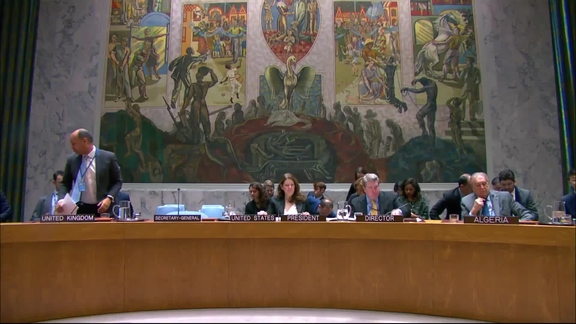 The situation in Somalia - Security Council, 9828th meeting