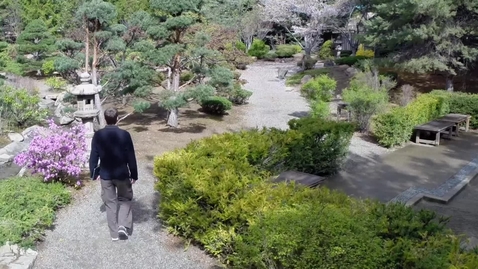 Thumbnail for entry Japanese Garden is a Symbol of Life