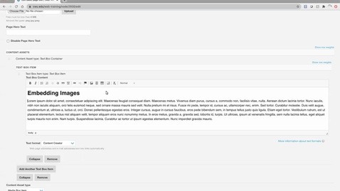 Thumbnail for Web Training: Embedding Images