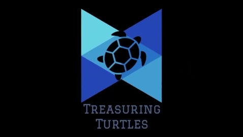 Thumbnail for entry Treasuring Turtles