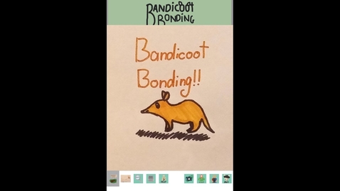 Thumbnail for Bandicoot Bonding