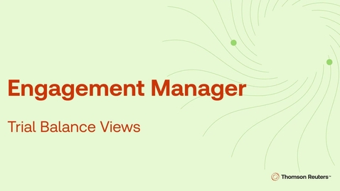Thumbnail for Trial Balance Views