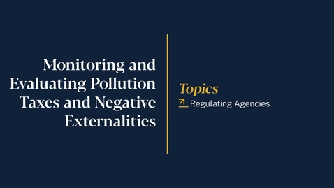 Thumbnail for 
		Monitoring and Evaluating Pollution Taxes and Negative Externalities
	