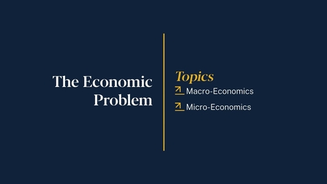 Thumbnail for 
		The Economic Problem
	