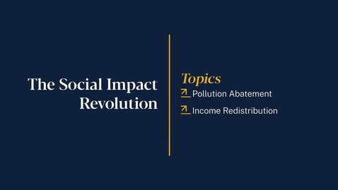 Thumbnail for 
		The Social Impact Revolution
	