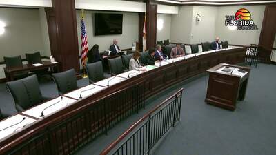 3/10/25 Senate Special Order Calendar Group The Florida Channel