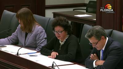 4/1/25 Senate Special Order Calendar Group The Florida Channel