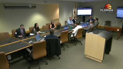 8/5/25 Revenue Estimating Conference: Ad Valorem - The Florida Channel
