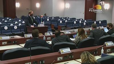 3/17/21 House Civil Justice & Property Rights Subcommittee - The ...